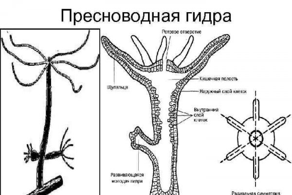 Kraken в россии