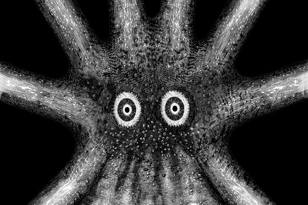 Kraken это что такое