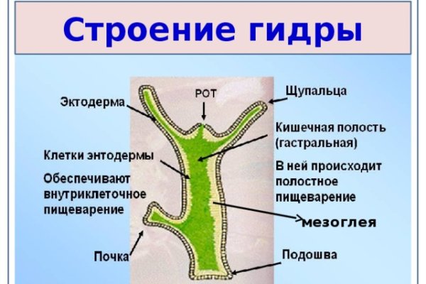 Кракен даркнет как зайти