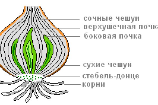 Почему не могу зайти на кракен