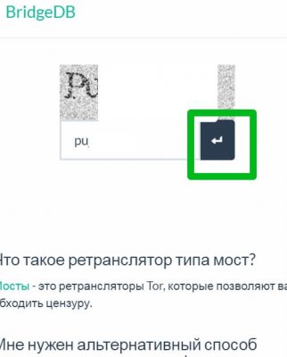 Полезные сайты тор